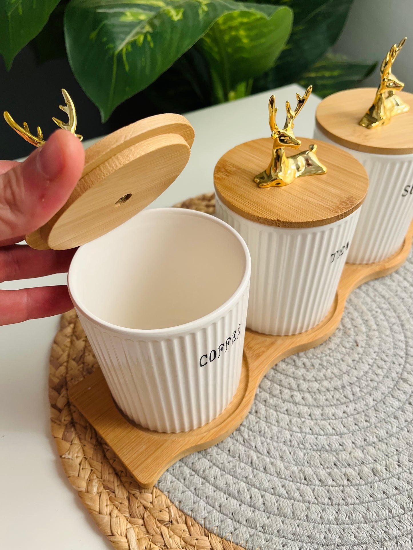 تقديم من غير احكام Set of 3 porcelain jars coffe-sugar-tea غزاله