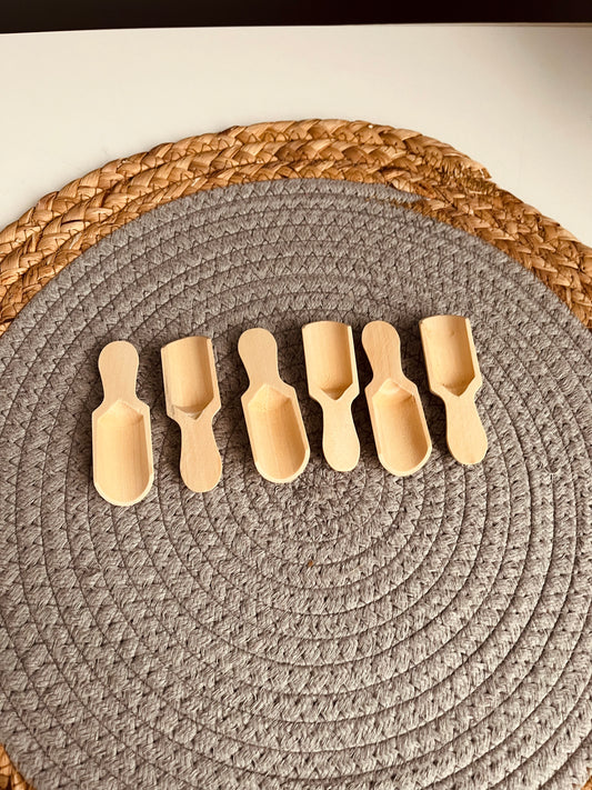 Wooden spices spoons (6 pieces )