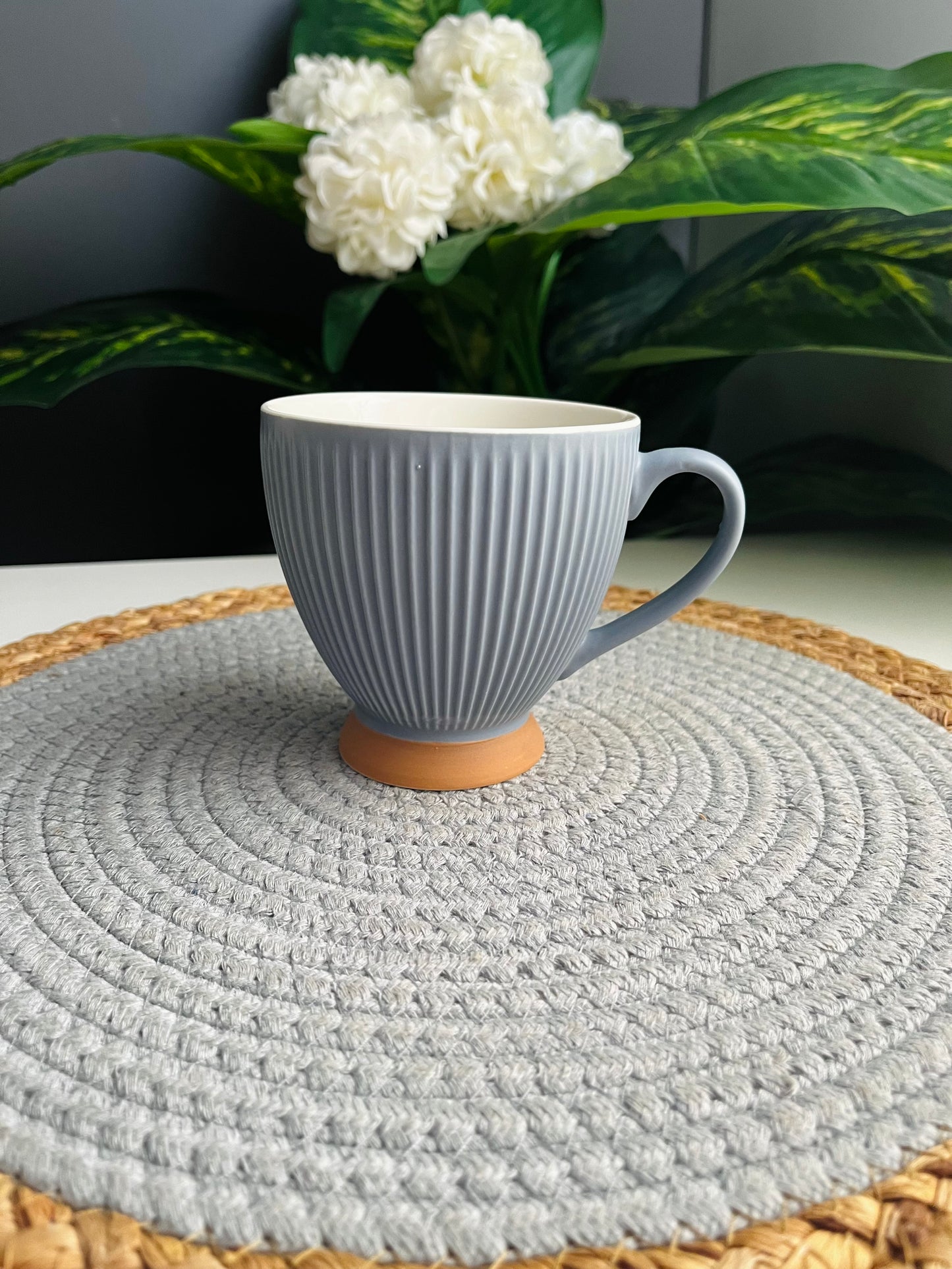 Mixed (blue)  mug (c30E)