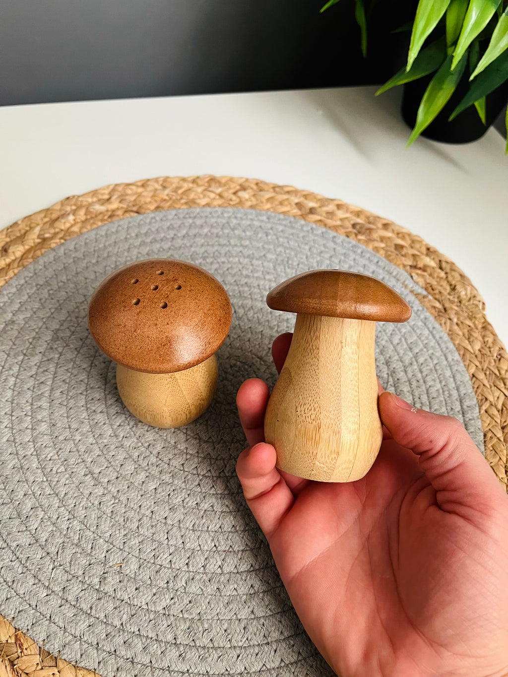 salt and pepper shakers (Code287)طقم  2ق ملاحات مشروم