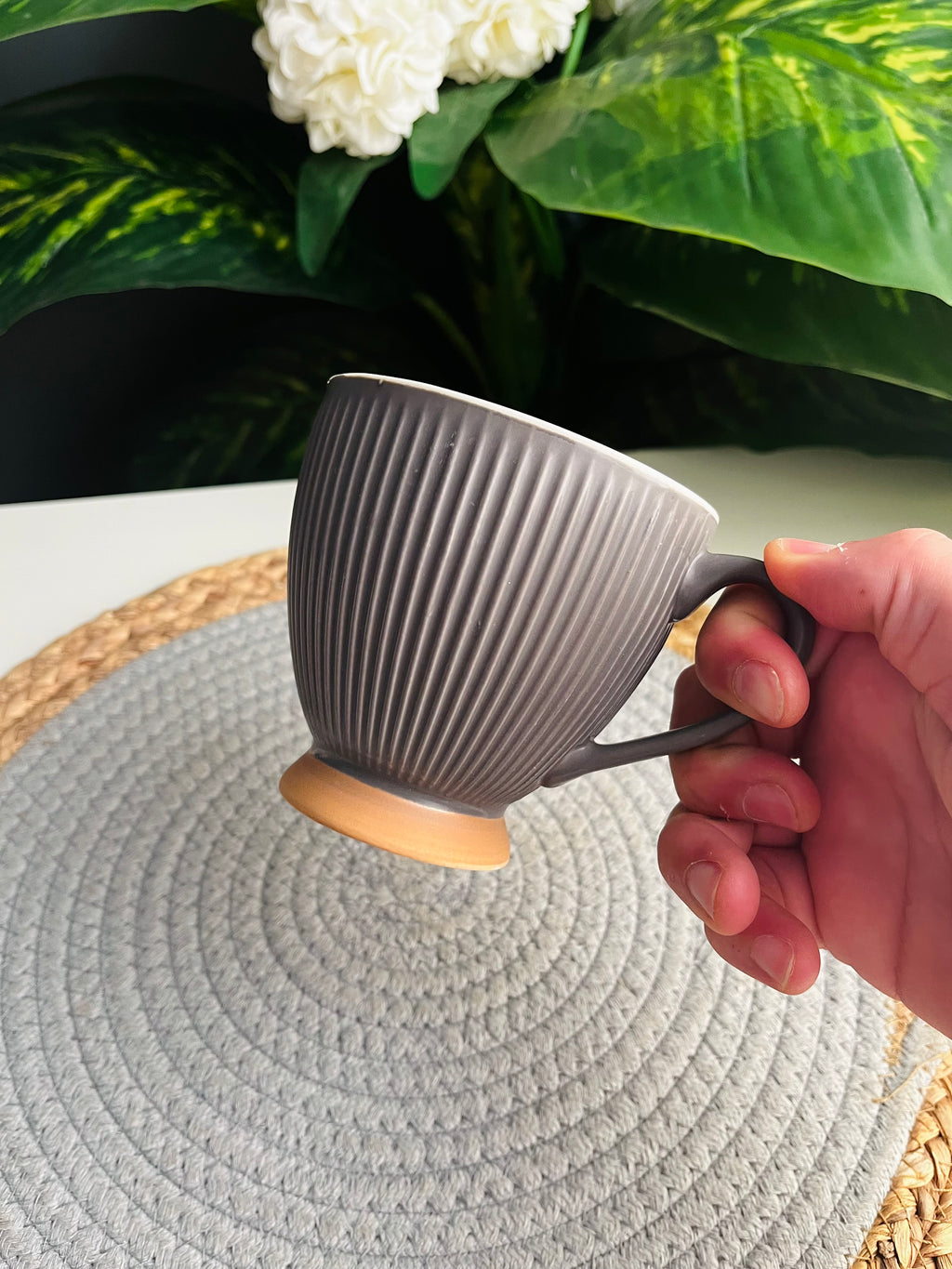 Mixed (gray)  mug (c30E)