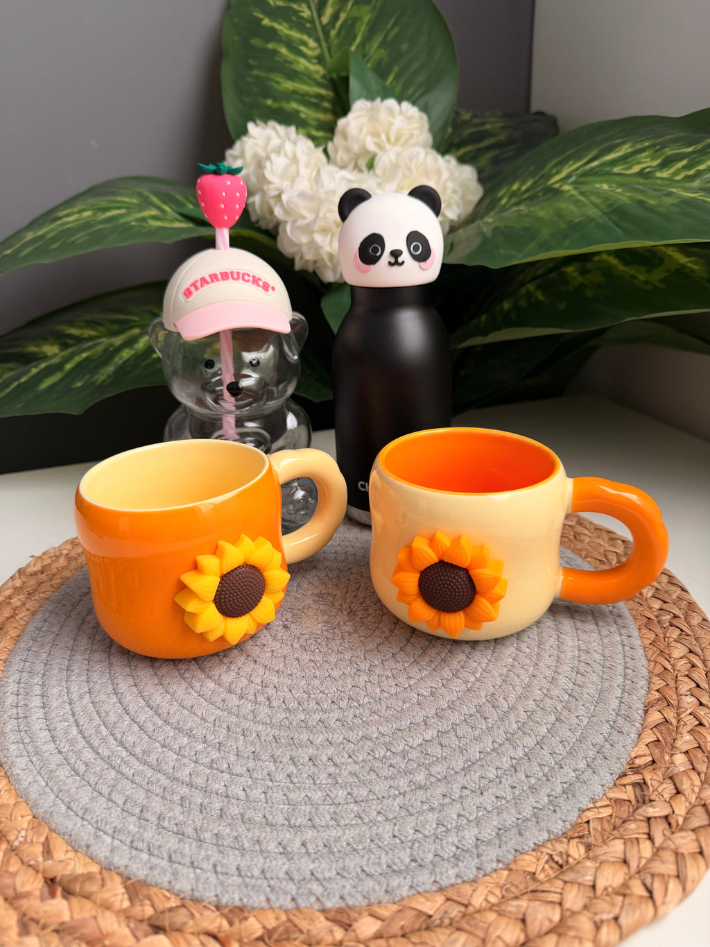 (Bundle)banda bottle-starbucks mug-2porcaline mugs