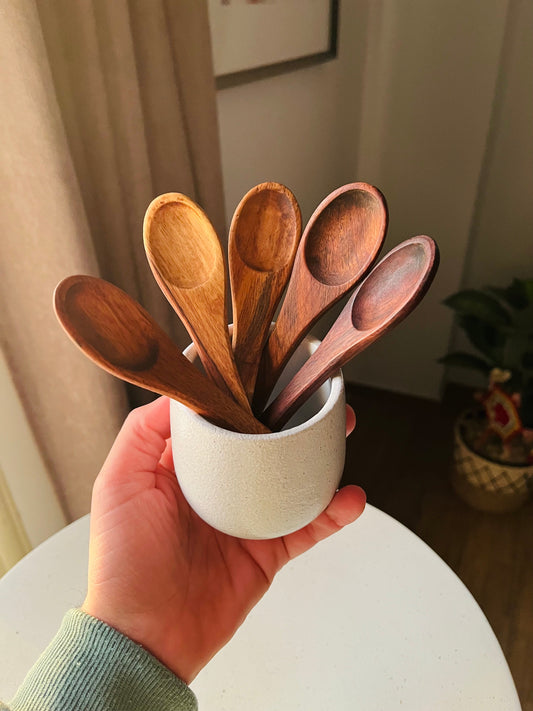 Set of 5 spices spoons+small pottery holder